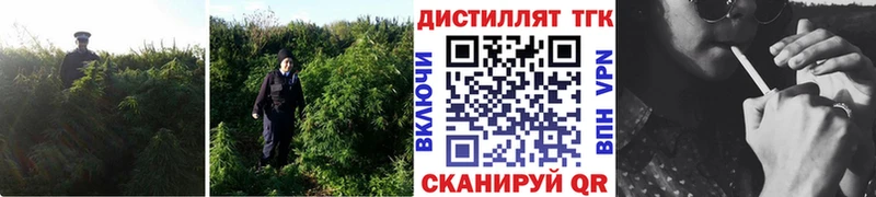 Дистиллят ТГК Wax  где купить наркоту  mega   Иваново 